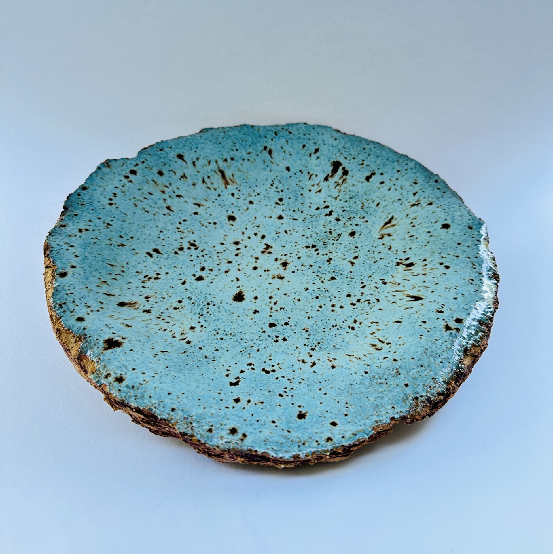 IBC 26cm duckegg speckle dish